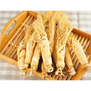 sỉ lẻ nhân sâm khô 50g - 100g