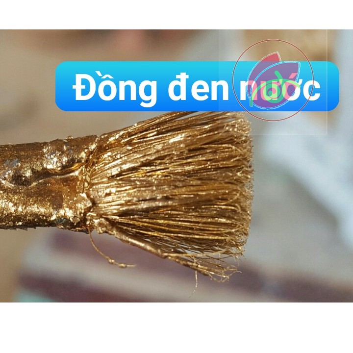 Sơn chậu kiểng màu nhũ đồng đen hệ nước ngoài trời Yes Paint lon 200g hoặc 850g