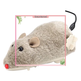 Chuột lên dây cót đồ chơi tương tác với mèo cưng