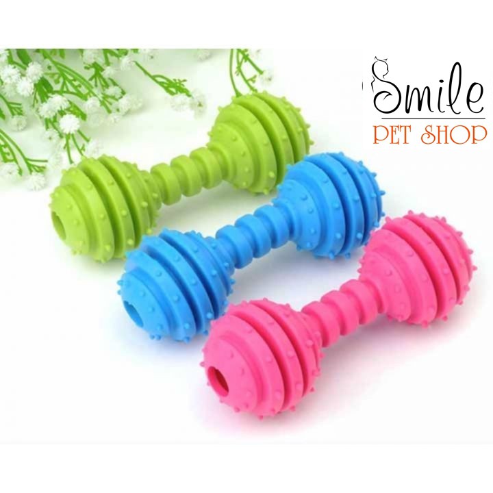 Quả tạ gai - Đồ chơi gặm bằng cao su cho chó mèo, thú cưng - Smile Pet Shop