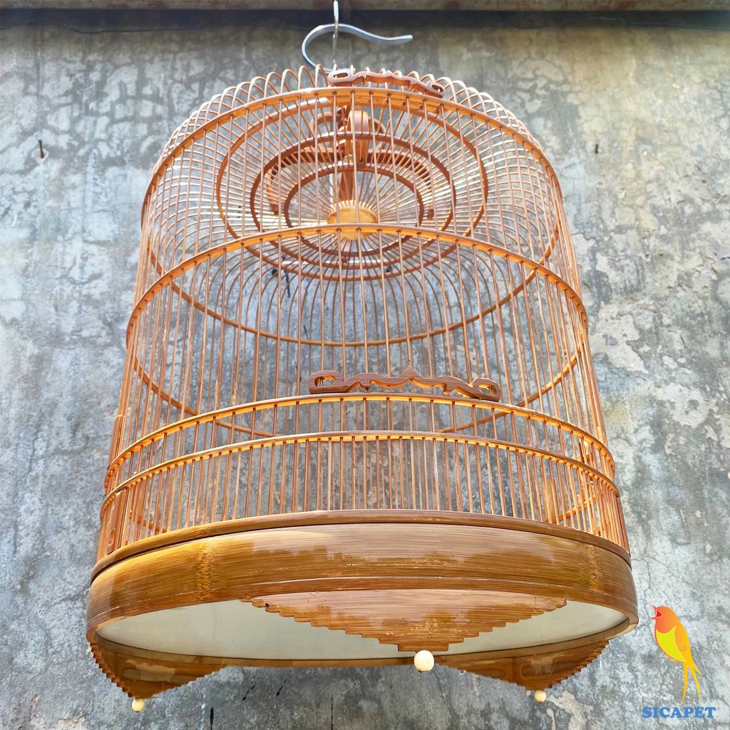 Lồng Chòe Than - Chòe Lửa , Lồng chim Chích Chòe đẹp SICAPET