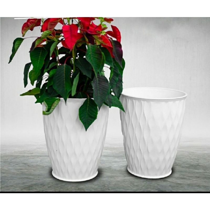 1KG Phân NPK 30-10-10 Đầu Trâu Ra Lá Chồi Hoa