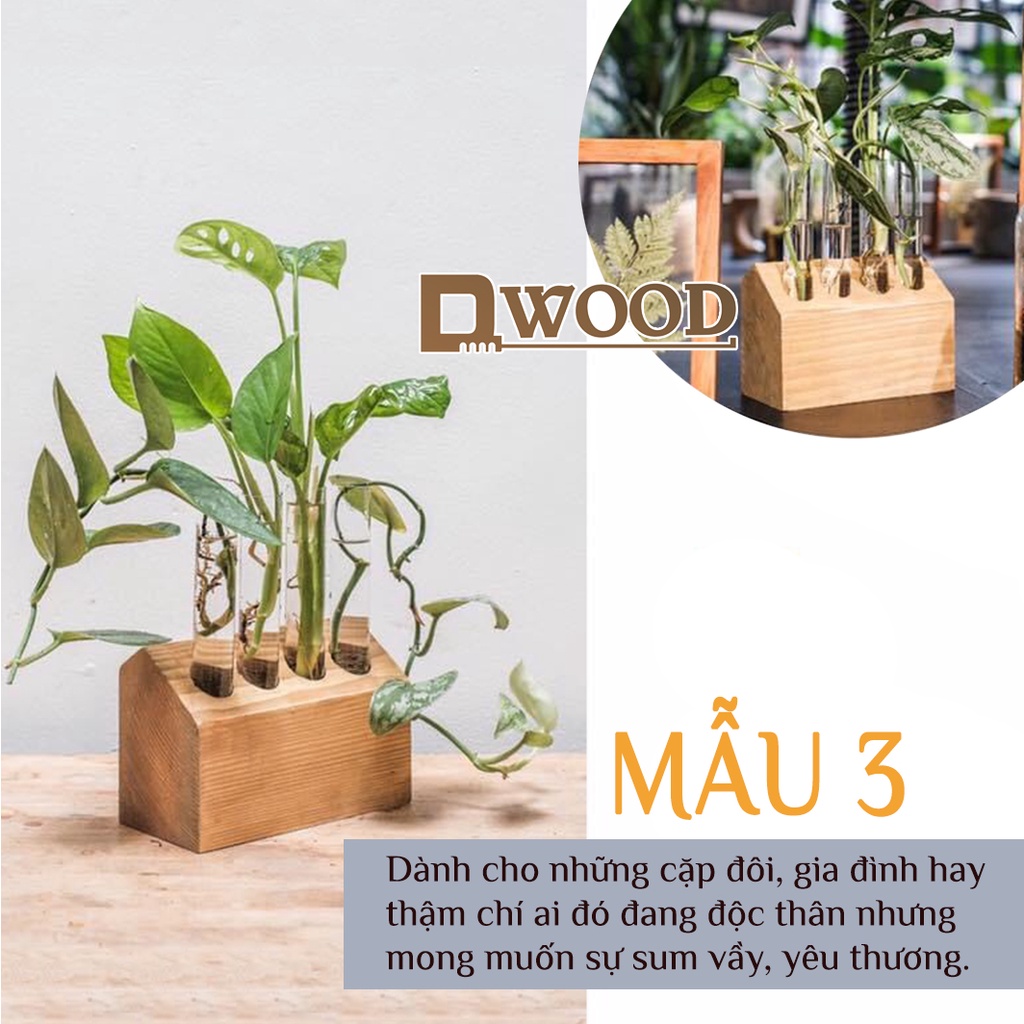 Đế gỗ Dwood đựng ống nghiệm, trồng cây và trang trí M3
