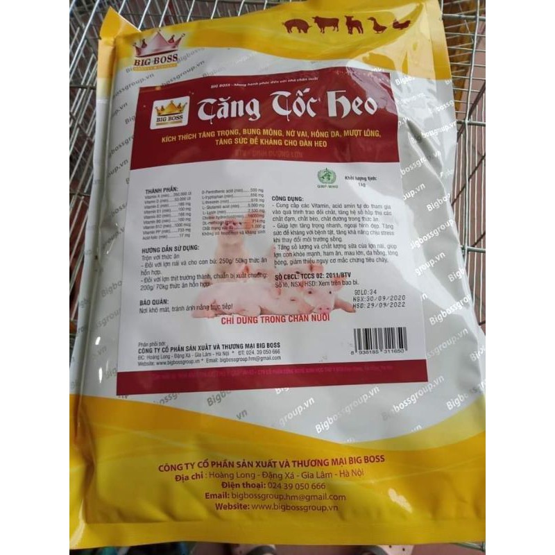 Tăng tốc heo