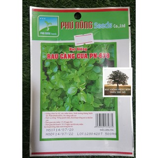 Hạt giống rau càng cua Phú Nông