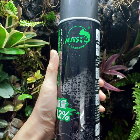 Keo dán rêu Mius (keo lạnh dán rêu)