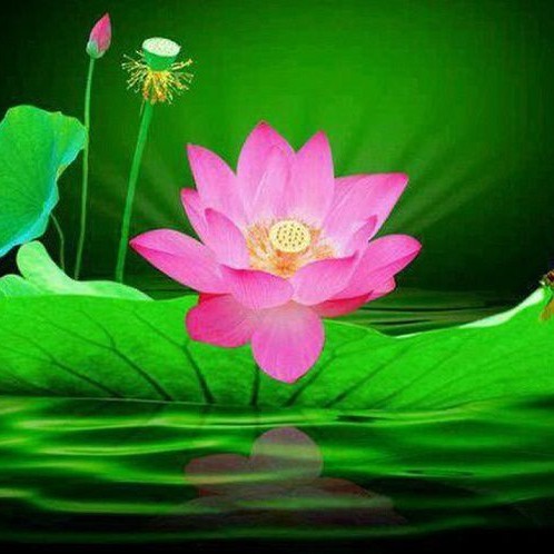 PHÁP PHỤC ĐỒ LAM-LN