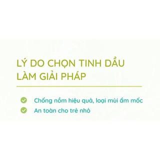 Tinh dầu tràm gió lọ 50ml