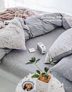 bộ chăn ga gối cotton 4 món