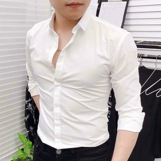 Sơ mi trắng nam thời trang Hàn Quốc cao cấp Hamino chất lụa dày dặn, mặc mát A1