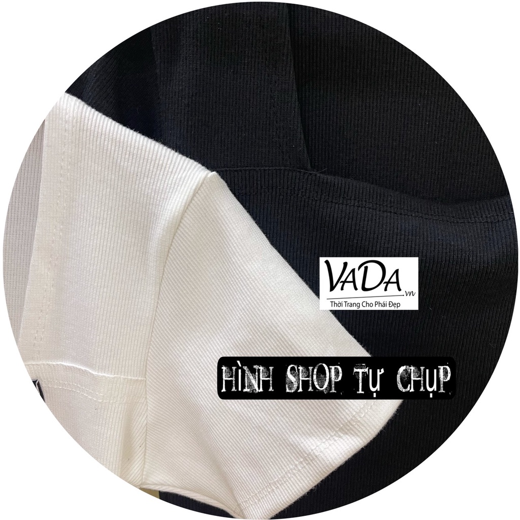 Áo Thun tay ngắn Phối chữ  cổ vuông  chất thun Gân tăm dày dặn xinh đẹp -Thời Trang VADA (AT5)