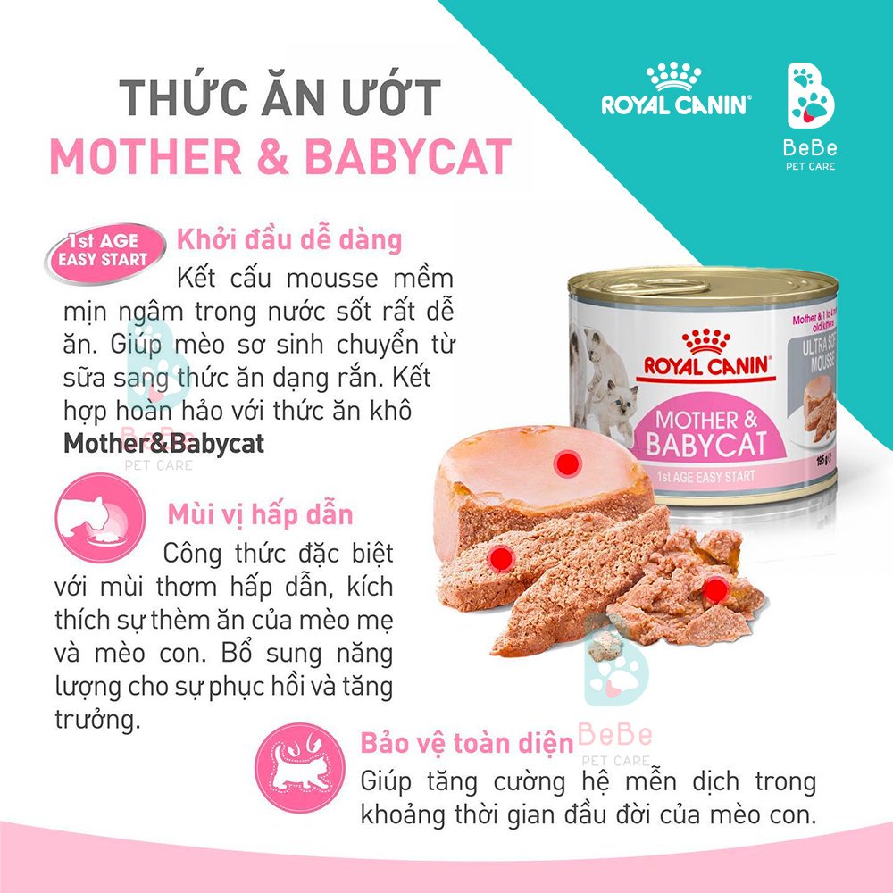 Pate ROYAL CANIN Mother &amp; Baby Cat Cho Mèo Mẹ &amp; Mèo Con 195Gr