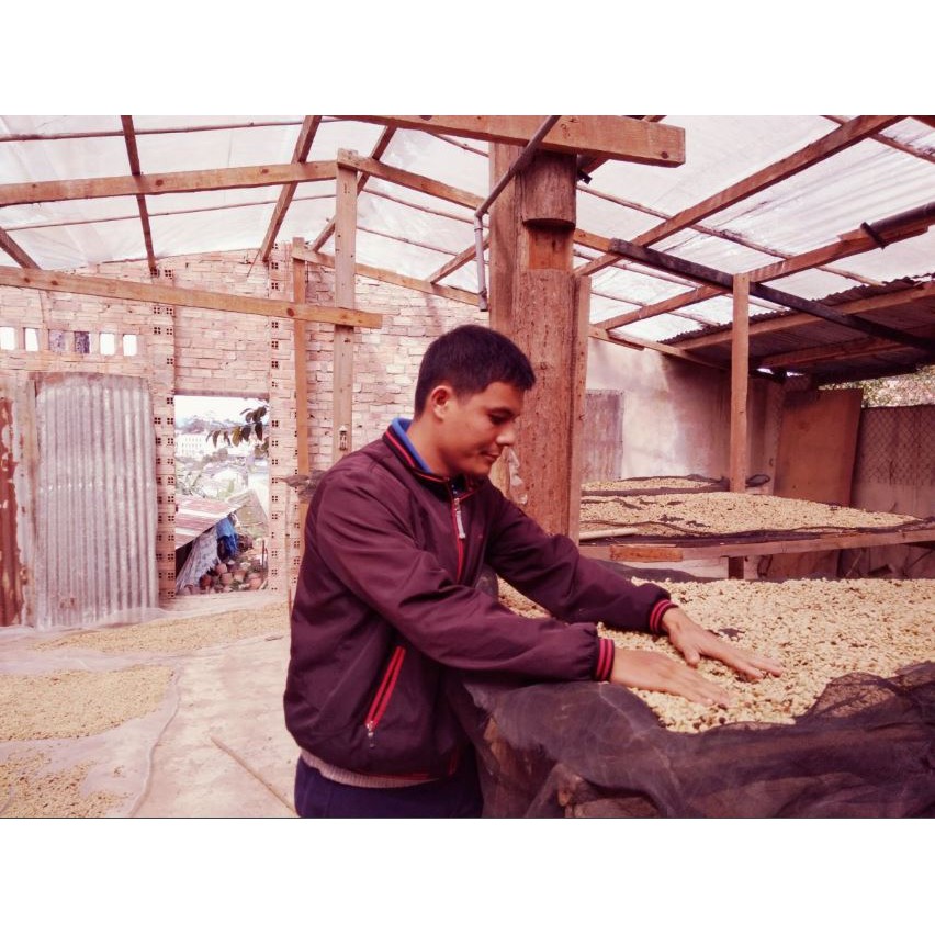 cà phê sạch nguyên chất moka typica 1 KG | BigBuy360 - bigbuy360.vn