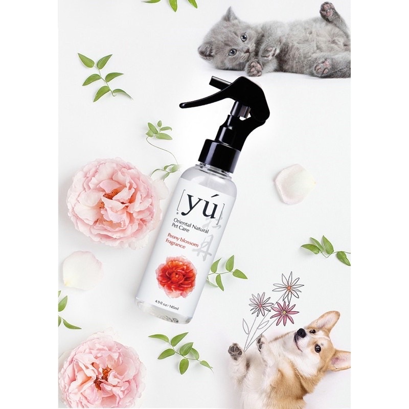 [ 145ml ] Xịt tắm khô Yú cao cấp cho chó mèo