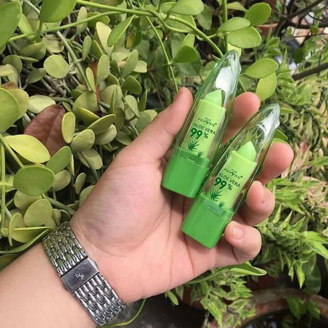 Lố 12 cây SON DƯỠNG MÔI NHA ĐAM | BigBuy360 - bigbuy360.vn