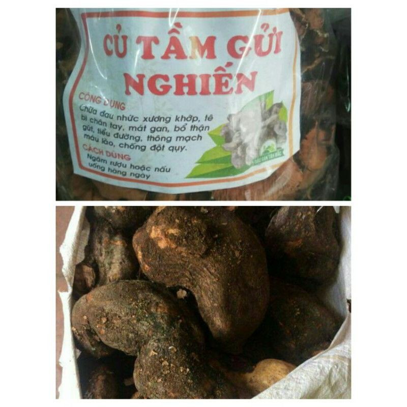 1kg củ tầm gửi nghiến tươi