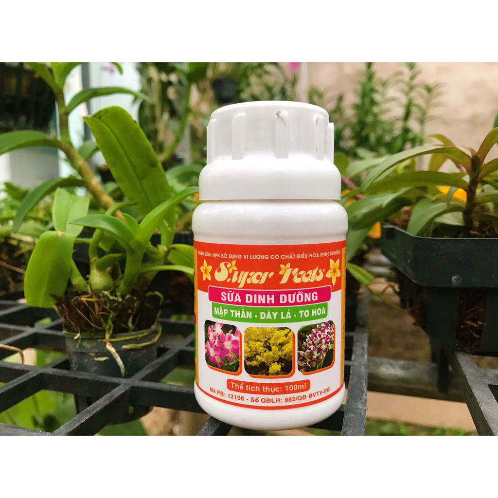 Phân bón SUPER ROOTS - Sữa Dinh Dưỡng cho Lan và Cây Trồng giúp cây khỏe hoa to đẹp - 100ml | Vạn Tín Store