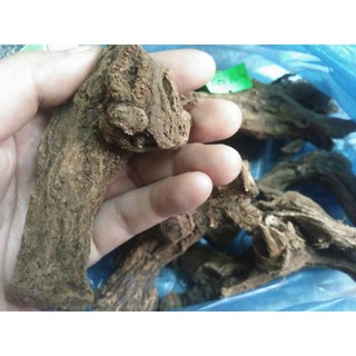 Mộc Hương bắc