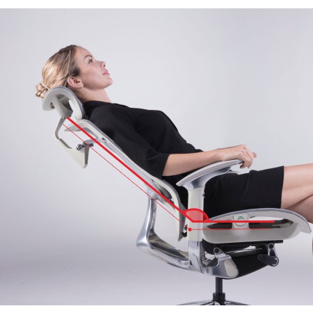 Ghế Công Thái Học Văn Phòng Ergonomic GTChair Dvary IFIT Smile Trắng Xám.