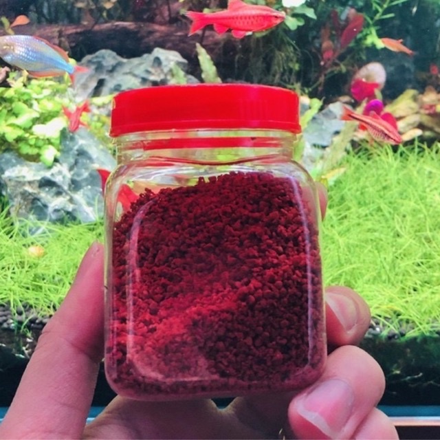 50gr Thức Ăn Cho Cá Cảnh Tetra Color-Giúp Cá Nhanh Lớn Lên Màu Đẹp