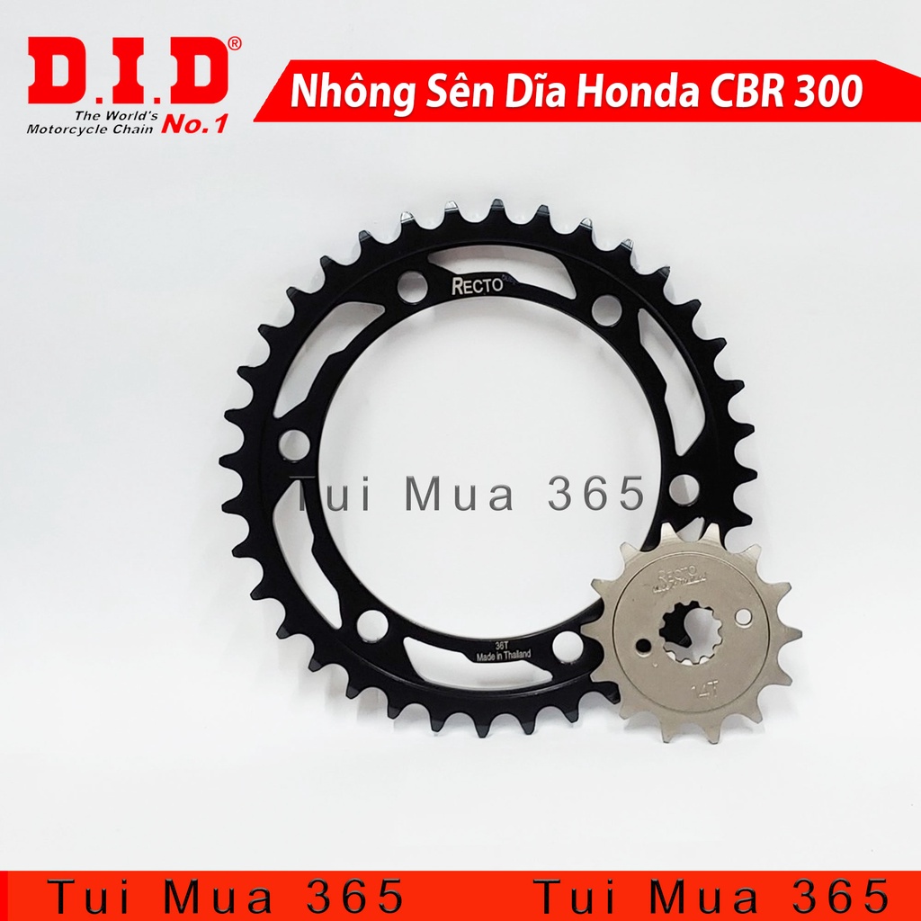 NHÔNG SÊN DĨA HONDA CBR 300 RECTO - SÊN DID 520 O-RING ( 14Tx36T )