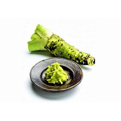 Mù Tạt Tươi/ Gừng Nghiền Nhật Bản Oroshi Nama Wasabi House 43g