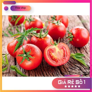 HẠT GIỐNG CÀ CHUA ẤN ĐỘ gói 30 hạt LUCKY.VN