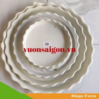 Đĩa viền 450 đĩa nhựa lót chậu cây