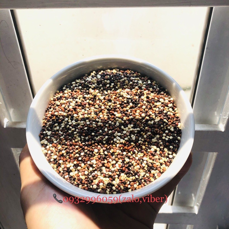 Hạt Quinoa mix (hạt diêm mạch 3 màu) Absolute Organic chính hãng