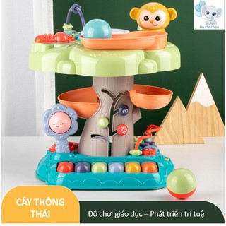 Đồ chơi Giáo dục, phát triển trí tuệ cho trẻ từ 0 tháng tuổi - Cây Thông Thái