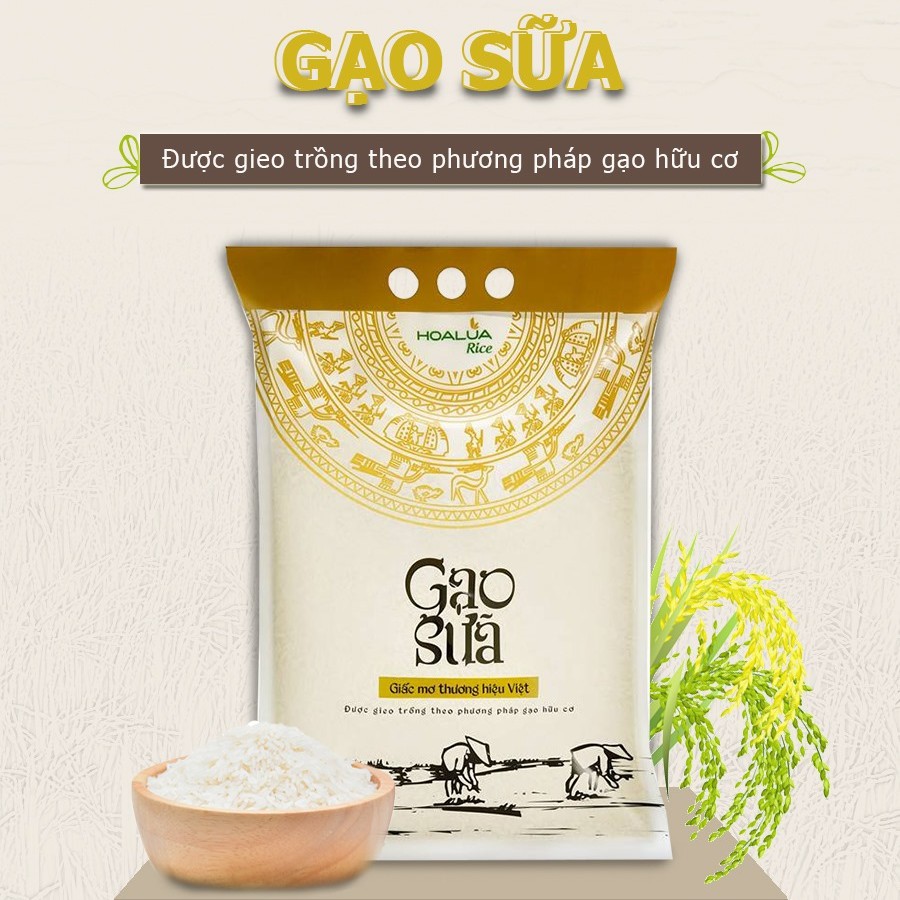 GẠO SỮA THƯỢNG HẠNG 5kg - Gạo Hoa Lúa