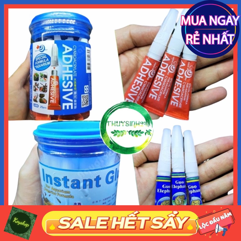 Keo thủy sinh dán rêu - dán tân đế - ráy - bucep - keo dán cây lên giá thể. - Sẵn hàng, Giá Tốt