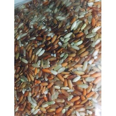 Gạo lứt điện biên/ 1kg [Date:2/2022] | BigBuy360 - bigbuy360.vn