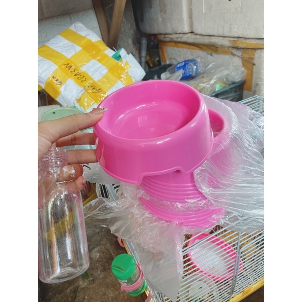 Chén ăn cho thỏ, lang, sóc , chó, mèo