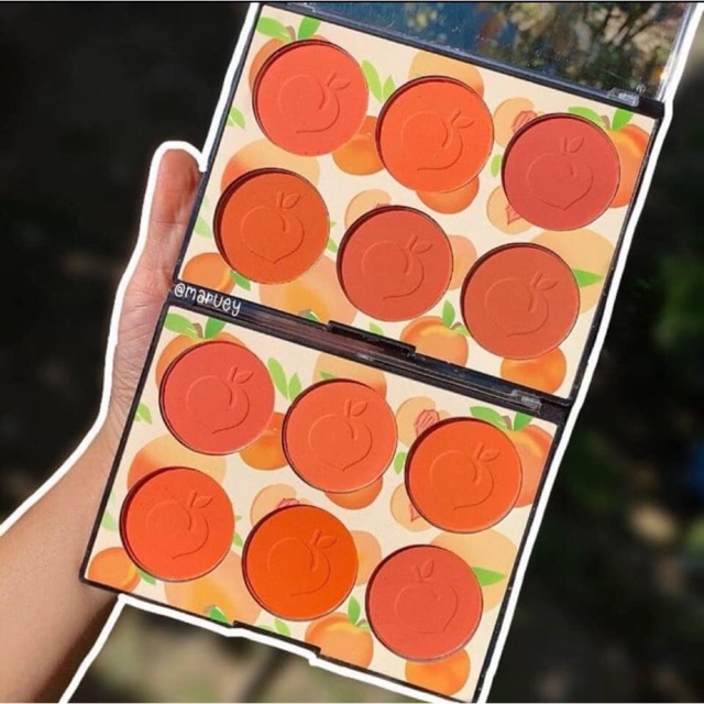 Bảng má hồng Karite 6 ô