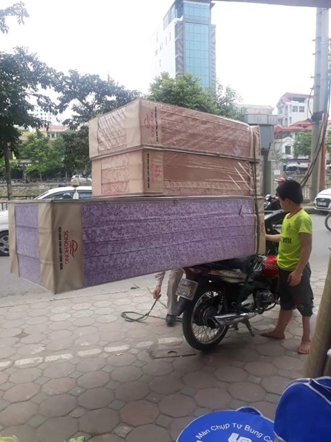 Đệm bông Sông Hồng 1m2x1m9x5cm