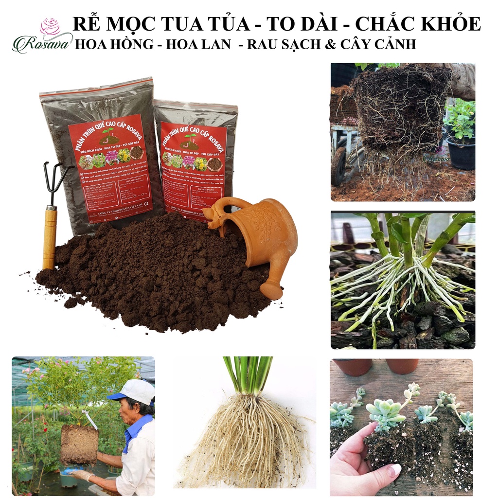 Phân trùn quế hữu cơ vi sinh ROSAVA bón cho rau, hoa hồng, cây cảnh, hoa giấy, lan, sen đá