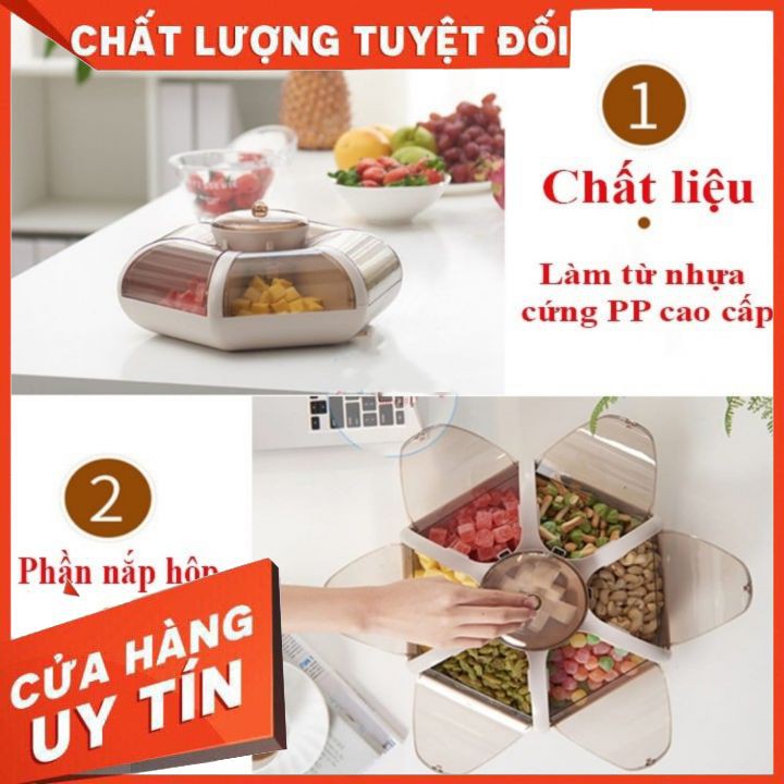 🍬FREESHIP🍬 Khay Mứt, Khay Đựng Bánh Kẹo 6 Cánh Hoa Tự Bung, Sang Chảnh, Lịch Sự, Mẫu Mới Nhất Tết 2021