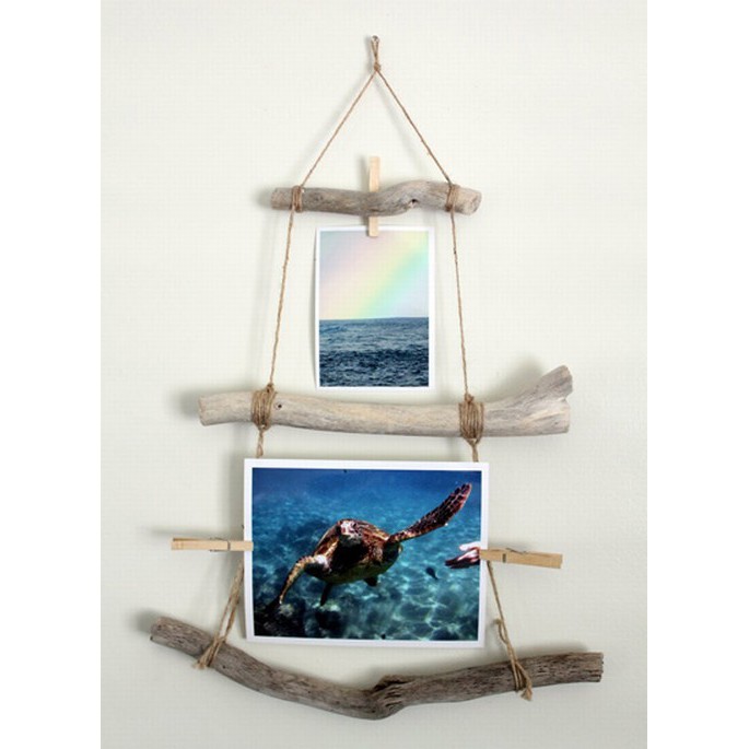 Bó cành củi khô tự nhiên trang trí decor 200gram