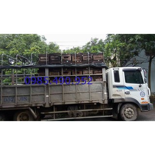 MẬT ONG HOA NHÃN THÁI HƯNG