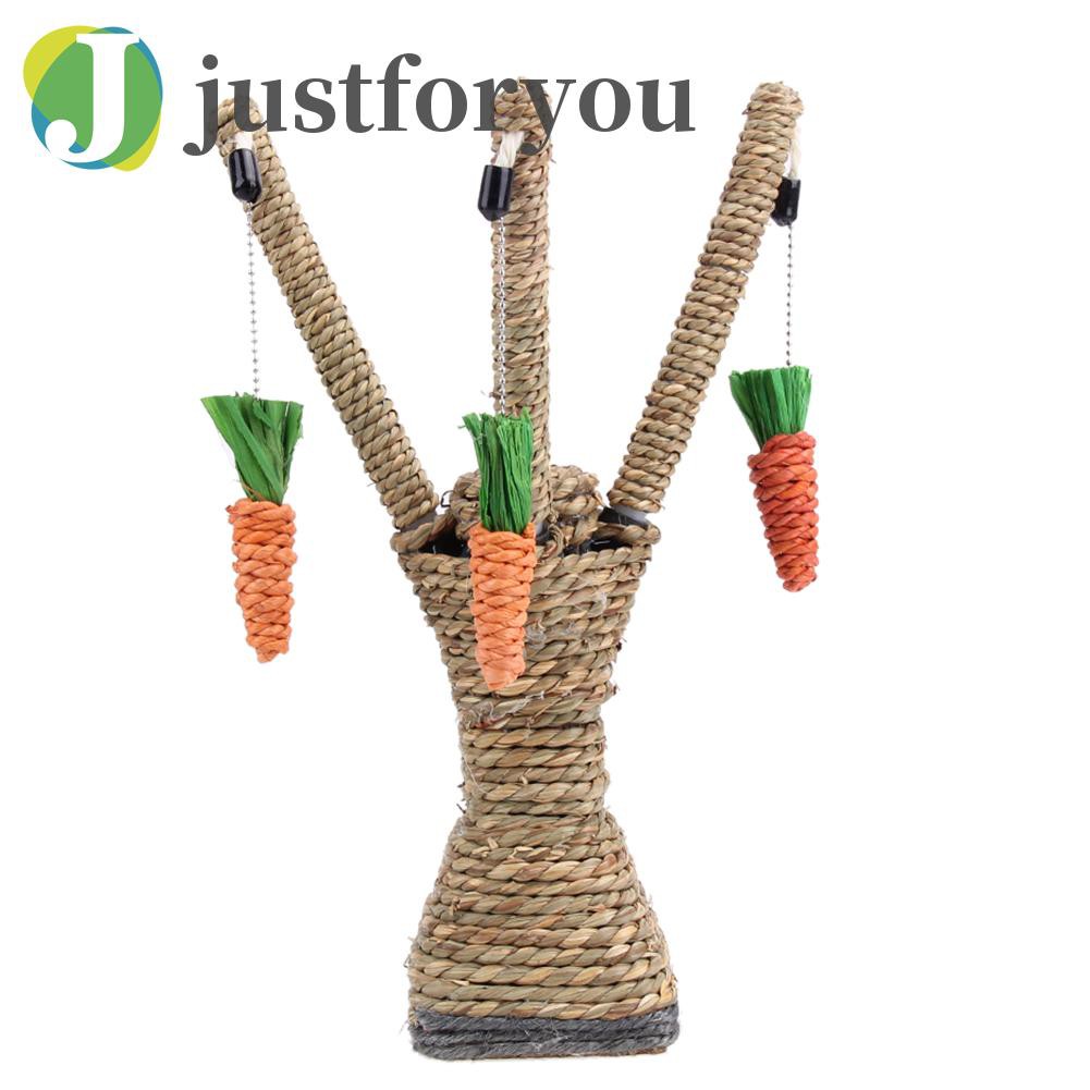 Set đồ chơi tương tác cho mèo