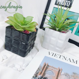 (Tặng xốp) Chậu sứ mini rubik men ngọc cao cấp trồng xương rồng, sen đá hoặc cây cảnh mini