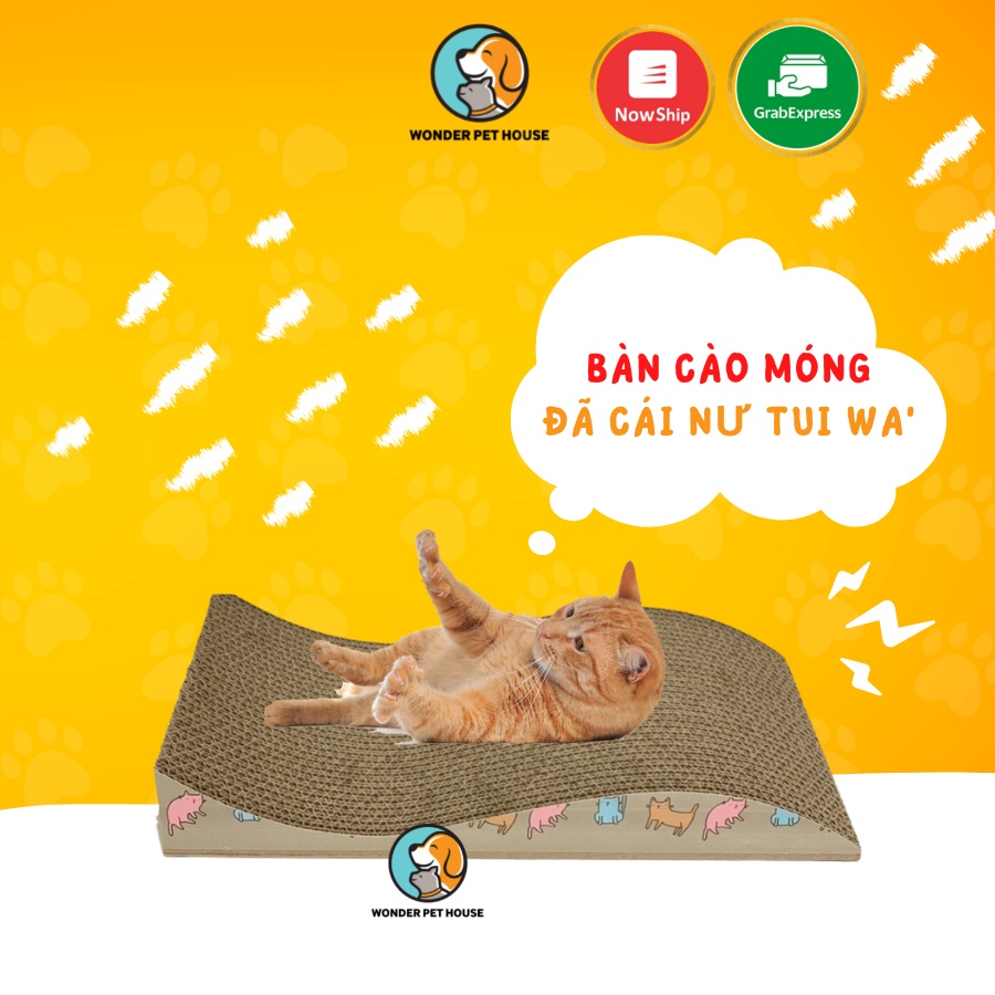 Bàn &amp; cây cào móng bằng giấy cho mèo - Phụ kiện cho thú cưng, nội thất cho thú cưng