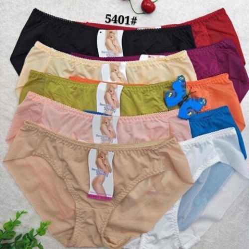 Quần Lót Nữ 5401 Trơn Hàng VNXK Siêu Nhẹ