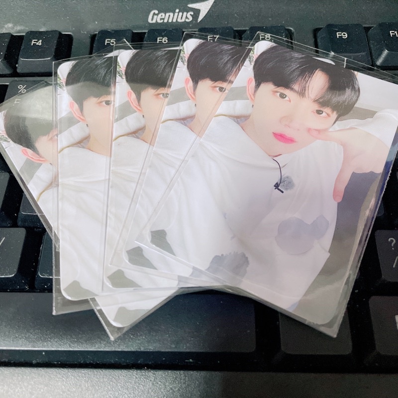 Thẻ ảnh Tempest Bandina 1.0