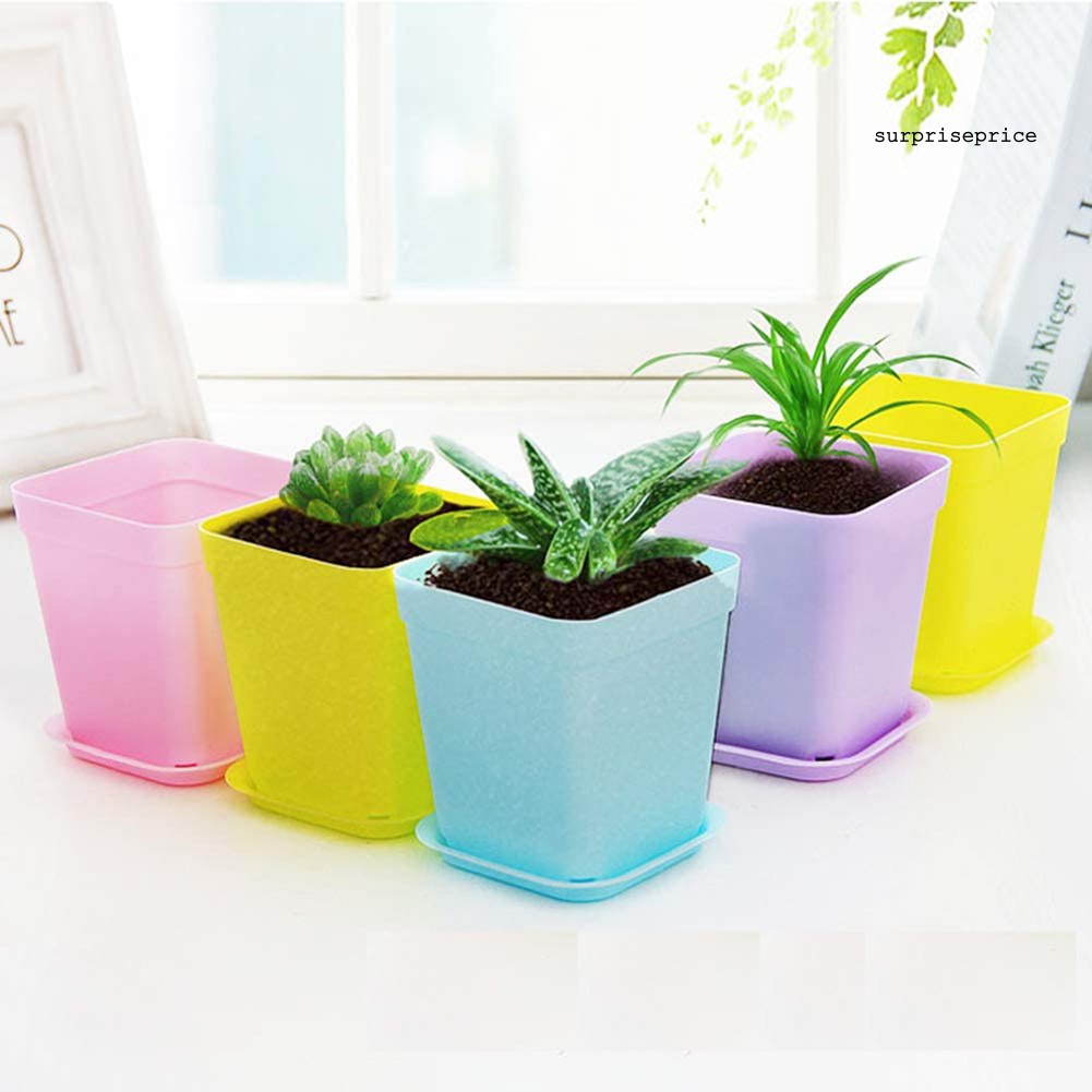 Set 10 / 20 Chậu Nhựa Dùng Trồng Cây Trang Trí Vườn