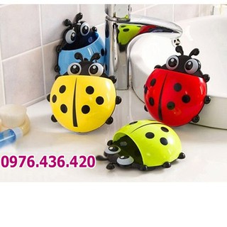 Bọ cánh cam đựng đồ xinh xắn