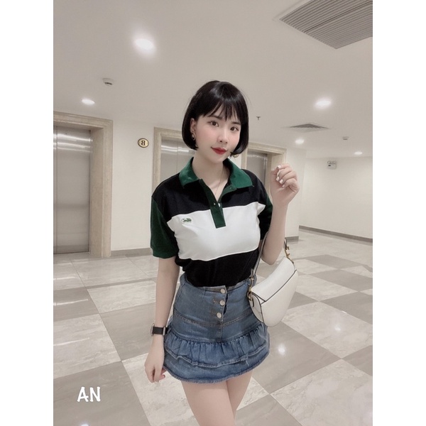 Áo Phông Cá Sấu 3 Màu