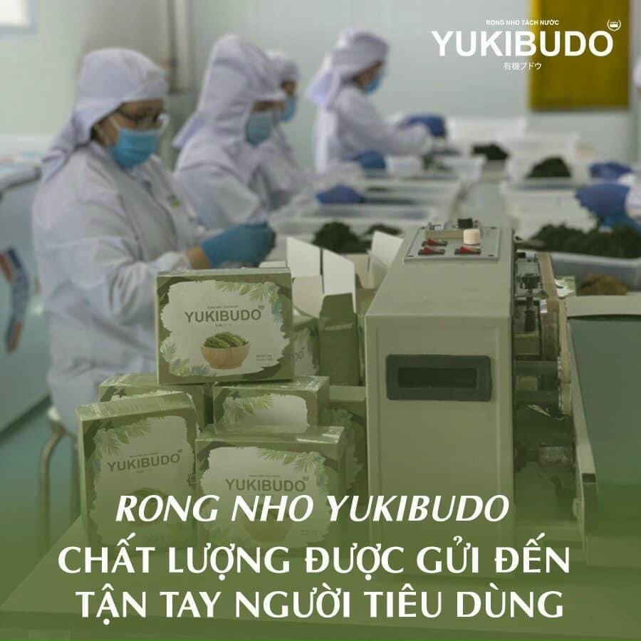 [QUÀ TẶNG 33K] Rong Nho Tách Nước Yukibudo Organic Khánh Hòa, Hộp 150g, Tặng Kèm 1 Chai Xốt Mè Rang Kewpie 180g | BigBuy360 - bigbuy360.vn