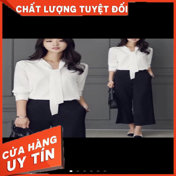 - SƠ MI CÔNG SỞ NỮ TRẺ TRUNG - HÀNG VIỆT NAM CHẤT LƯỢNG CAO - ( MÃ CC) - Hàng nhập khẩu